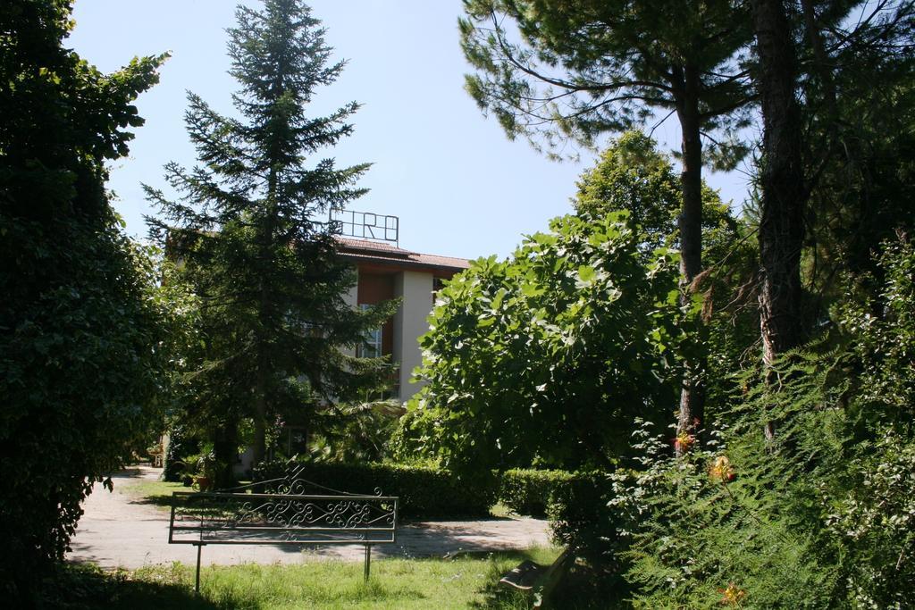 Albergo Da Siro Misano Adriatico Dış mekan fotoğraf